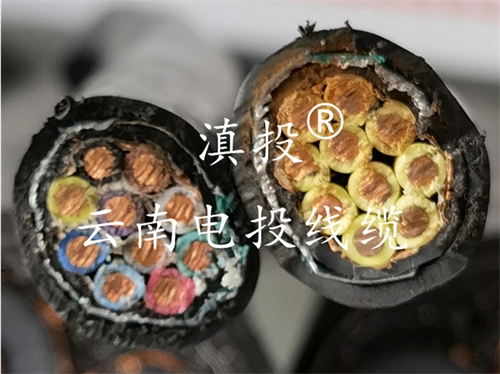 昆明電纜廠家計(jì)算機(jī)電纜